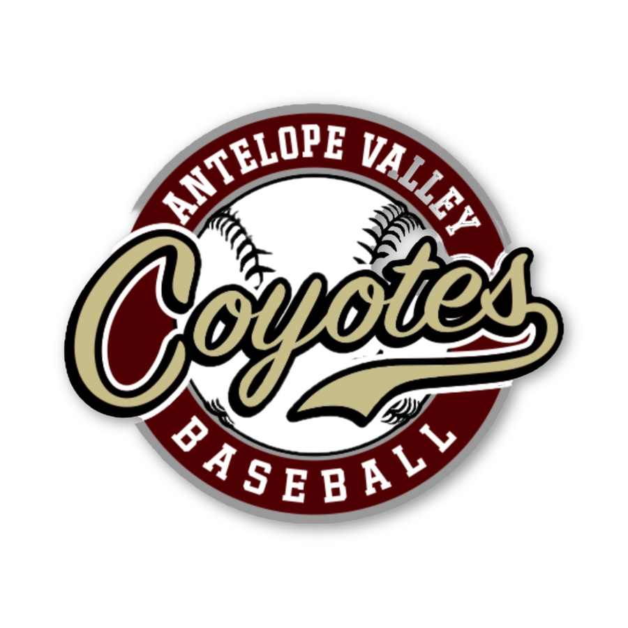 Antelope Valley Coyotes pin, 2 inch