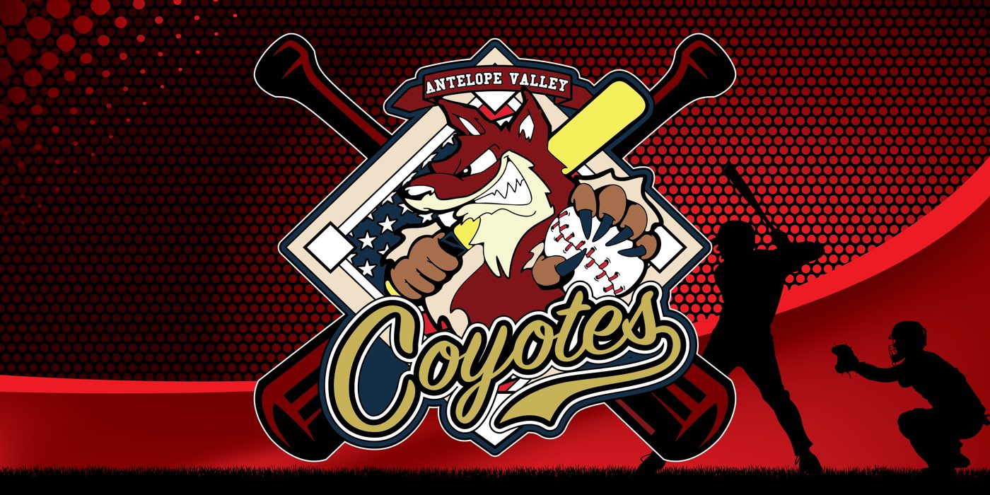 2.0 inch custom baseball trading pin, banner proof, for an Antelope Valley, CA team — The Pin Creator