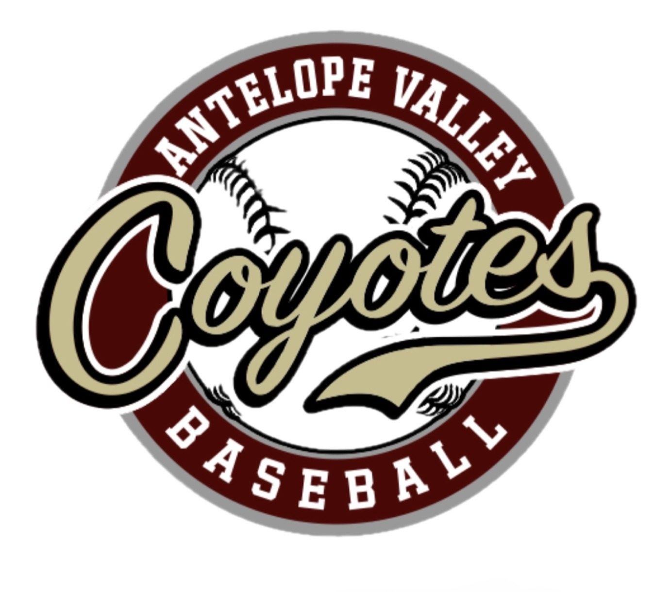 2.0 inch custom baseball trading pin, team logo, for an Antelope Valley, CA team — The Pin Creator