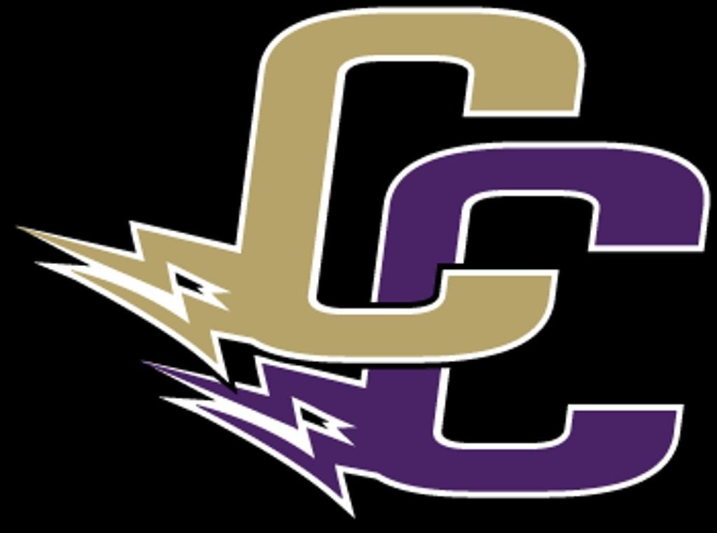 Custom hockey trading pin, team logo, for a Chaska, MN team — The Pin Creator
