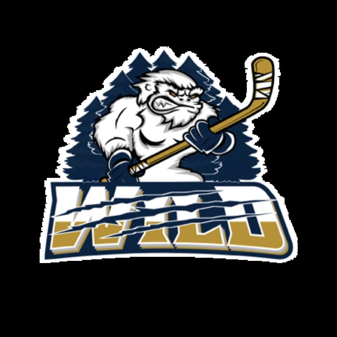 1.75 inch custom hockey trading pin, pin design, for a Pennsville, NJ team — The Pin Creator