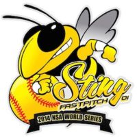 Custom designed, softball pins, by The Pin Creator