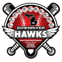 Baseball trading pin, custom designed, red and grey colors, 