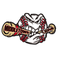 Little league, custom baseball pin, baseball image with broken bat, 