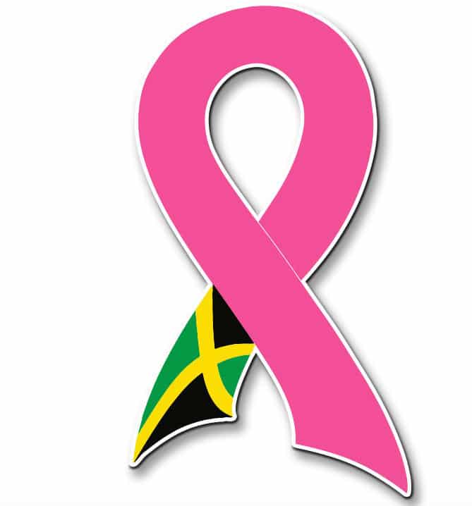breast cancer lapel pin, custom designed, breast cancer support