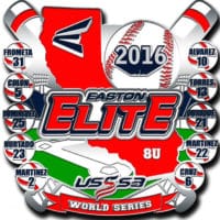 usssa world series, baseball pin, affordable, collector pin