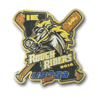 USSSA baseball pin, using die struck gold metal, with orange glitter