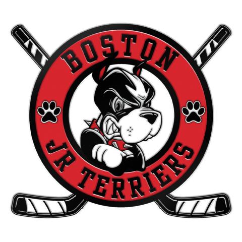Boston junior terriers, custom hockey pin, custom lapel pin, trading pin