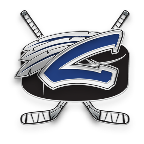 Custom hockey pin, lapel pins, trading pin