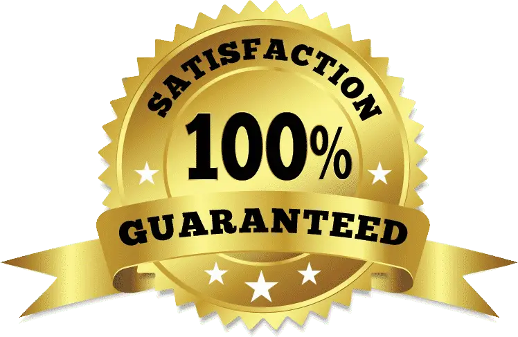 baseball pins 100% satisfaction