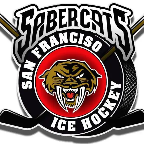 custom hockey trading pins with enamel finish and team logos