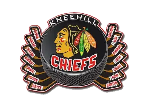 Hockey pins for sale