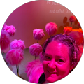 Jamie Blanchette Avatar